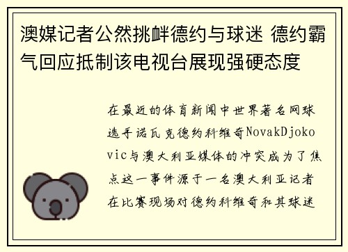 澳媒记者公然挑衅德约与球迷 德约霸气回应抵制该电视台展现强硬态度